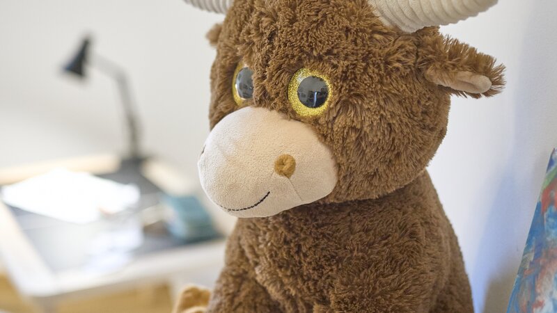 Baufritz_Stanek_Kinerzimmer_Detail1.jpg