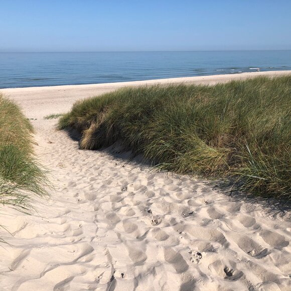 Ferienhaus hinterm Strand