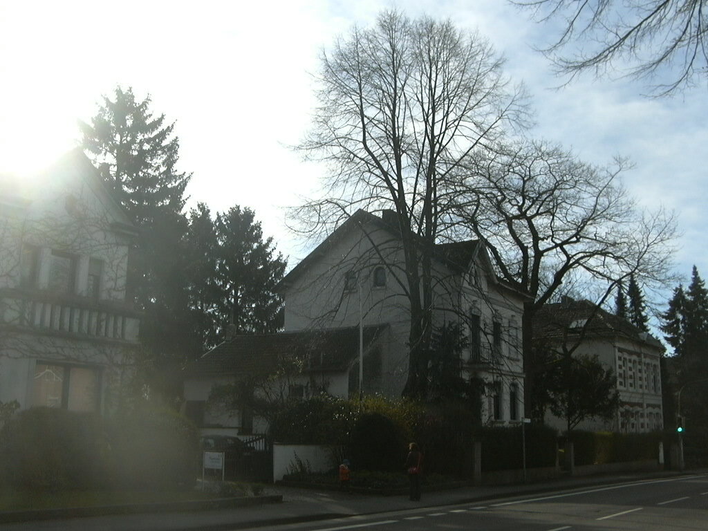P1010346.JPG