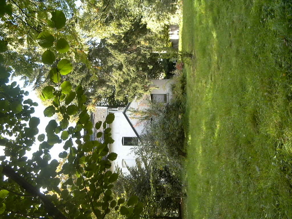 P1010294.JPG