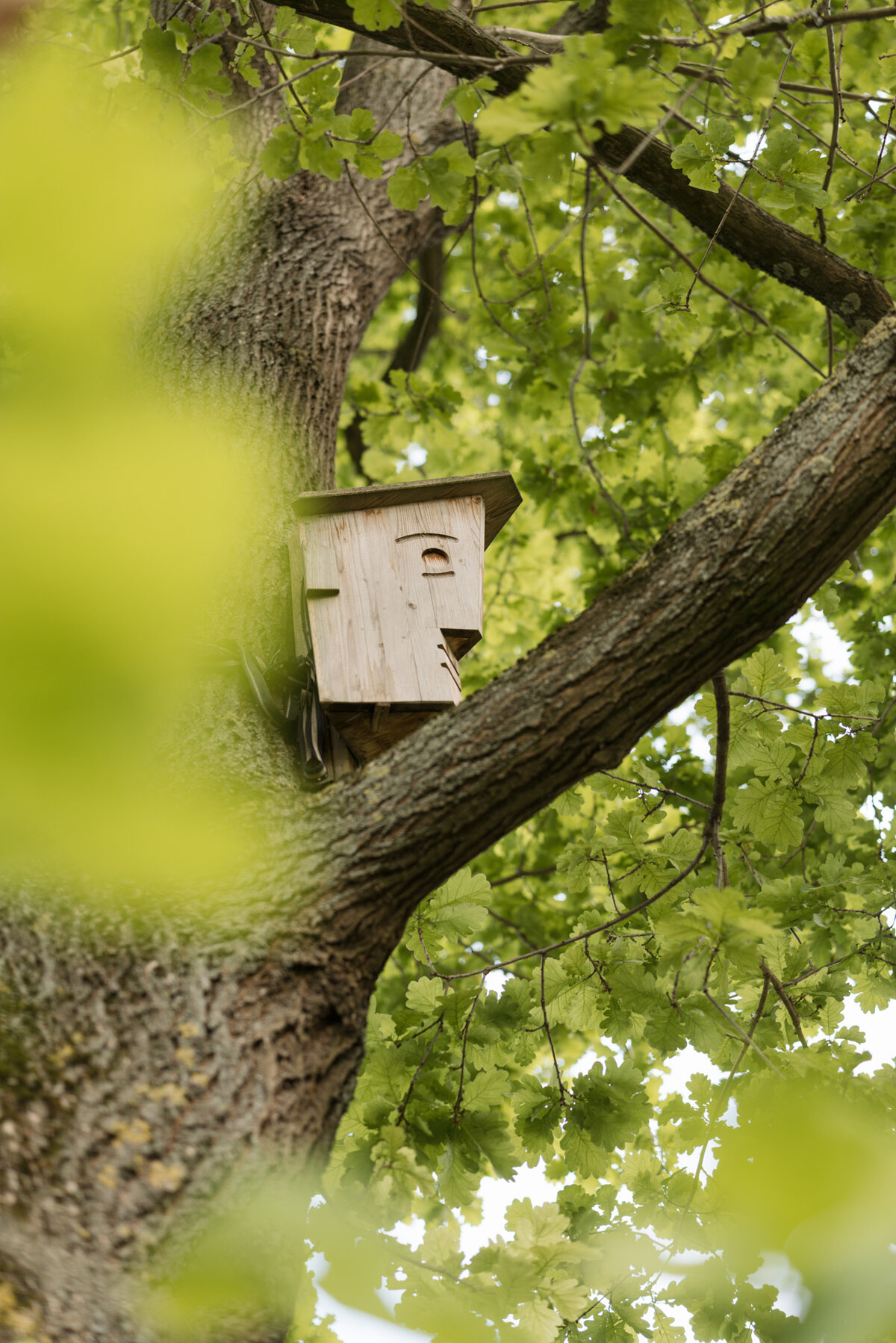 Baufritz_Stier_Garten_Detail2.jpg