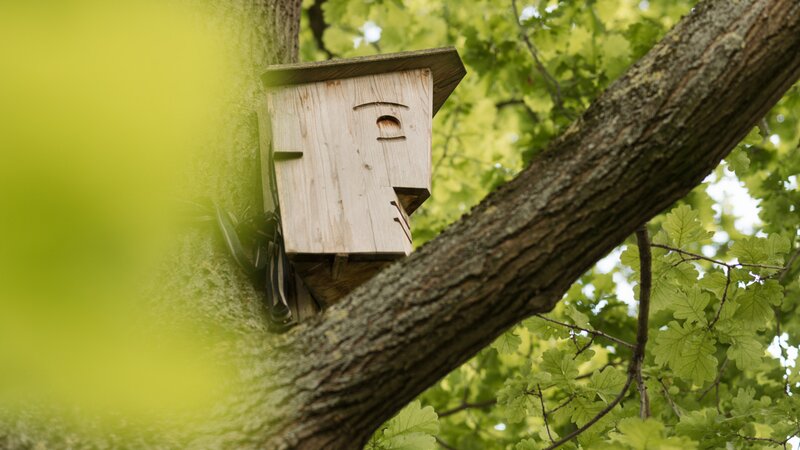 Baufritz_Stier_Garten_Detail2.jpg